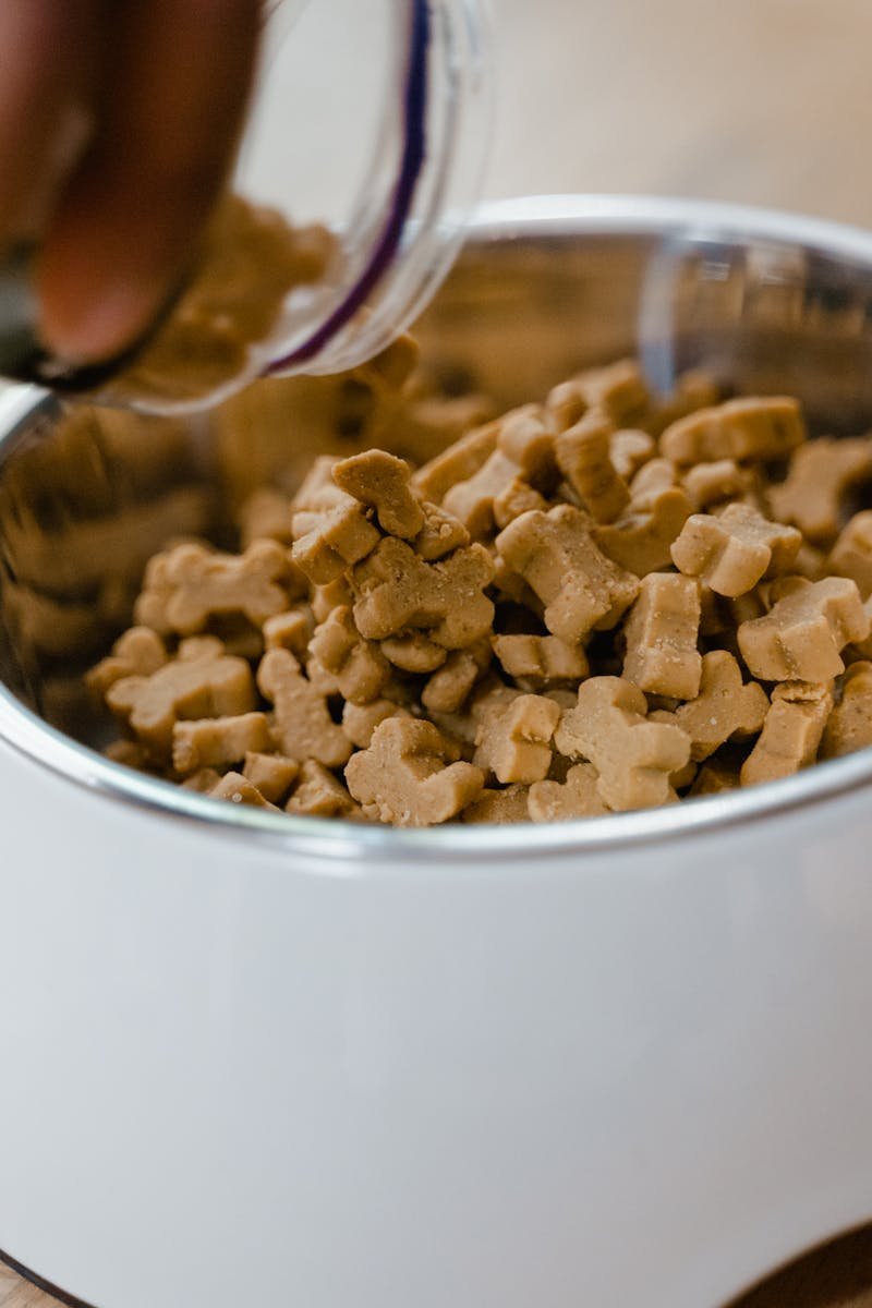 Close-up of hand pouring dog biscuits into a bowl, perfect for pet care themes.